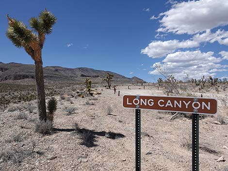 Long Canyon Trailhead