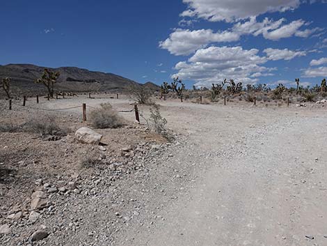 Long Canyon Trailhead