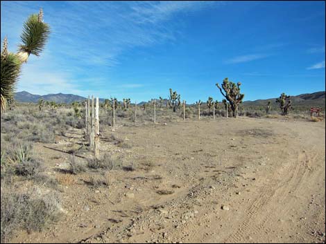 Mormon Well Road