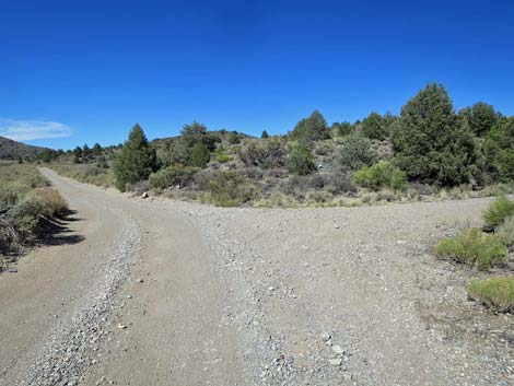 Mormon Well Road