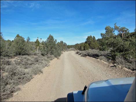 Mormon Well Road