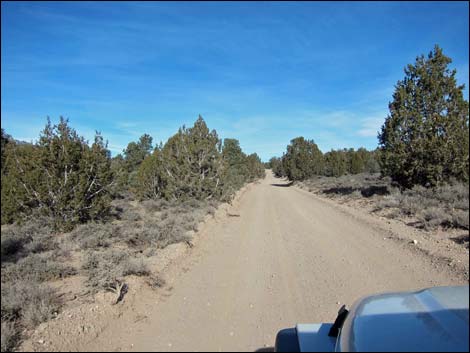 Mormon Well Road