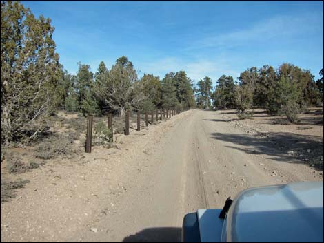 Mormon Well Road