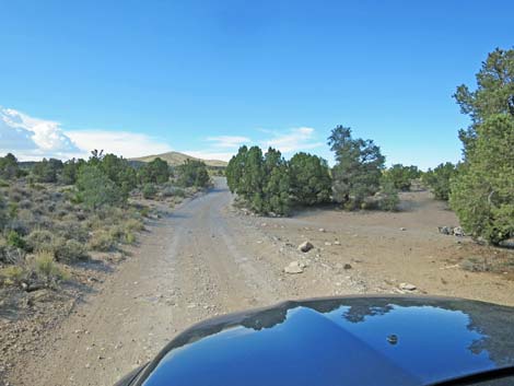 Mormon Well Road