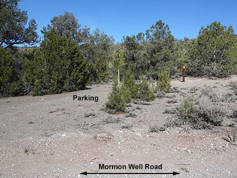 Mormon Well Road