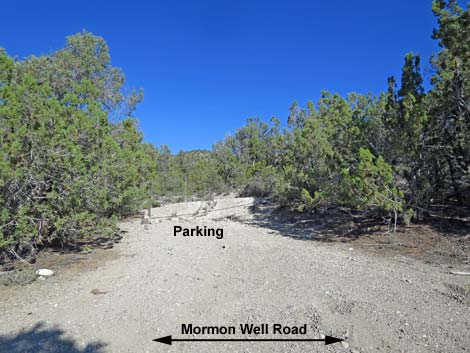 Mormon Well Road