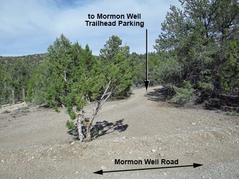 Mormon Well Road