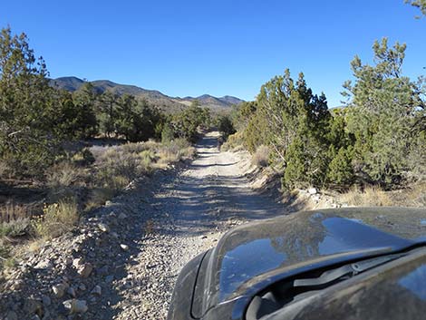 Mormon Well Road