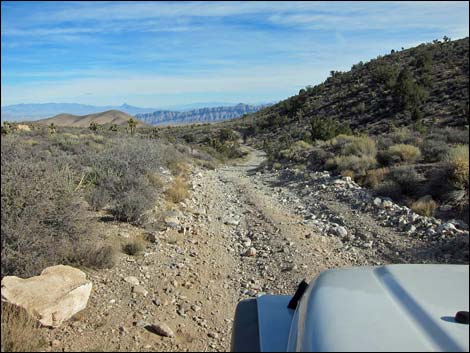 Mormon Well Road