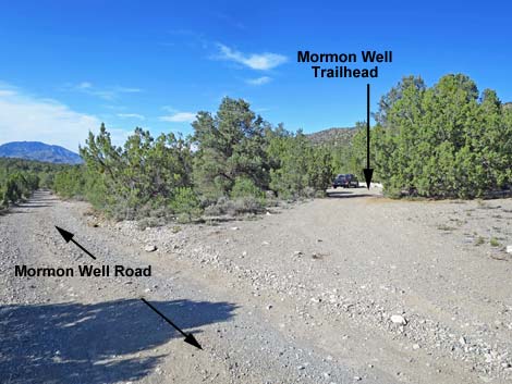 Mormon Well Road