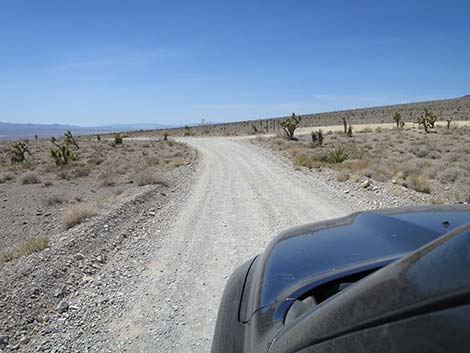 Mormon Well Road