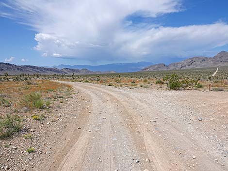 Mormon Well Road