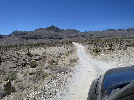 Mormon Well Road