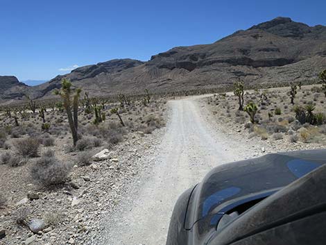 Mormon Well Road