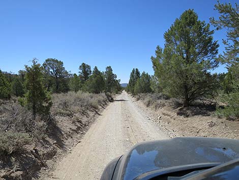 Mormon Well Road