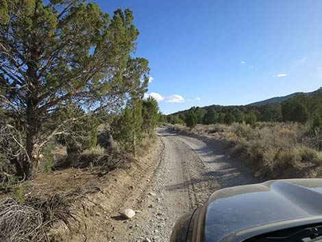 Mormon Well Road