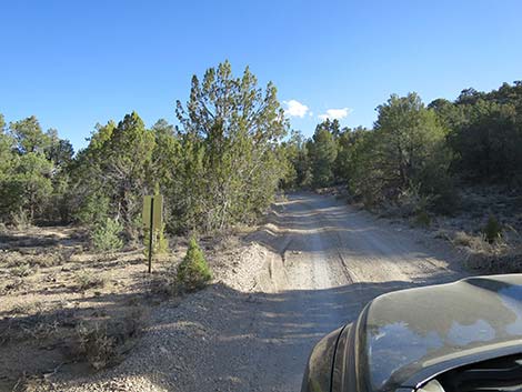 Mormon Well Road