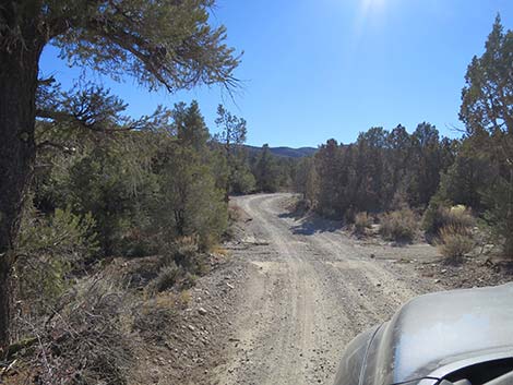 Mormon Well Road