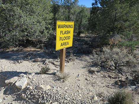 Mormon Well Road