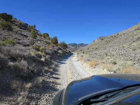 Mormon Well Road