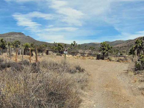 Quail Spring Road