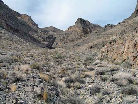 Yucca Gap Canyon 2