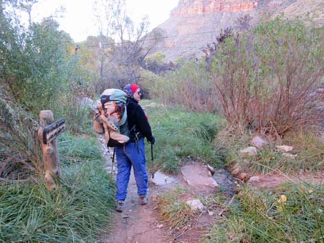 Bright Angel Trail