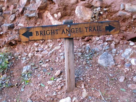 Bright Angel Trail