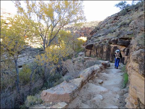 Bright Angel Trail