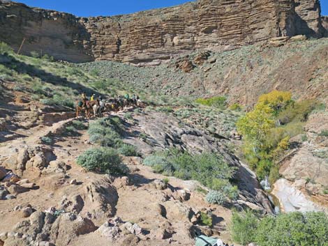 Bright Angel Trail