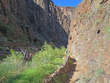 Bright Angel Trail