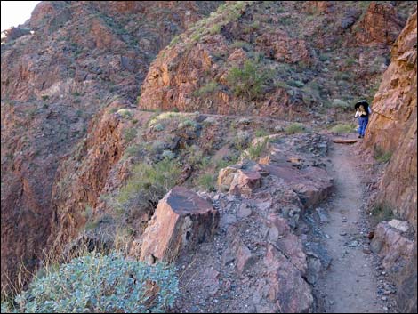 Bright Angel Trail