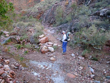 Bright Angel Trail