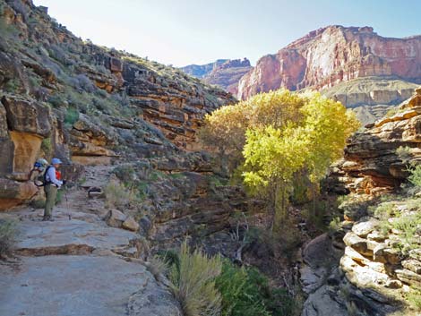 Bright Angel Trail