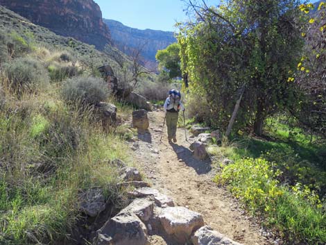 Bright Angel Trail