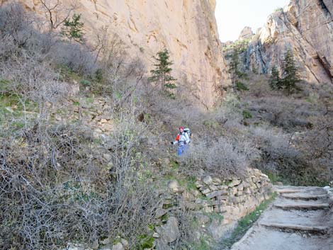 Bright Angel Trail