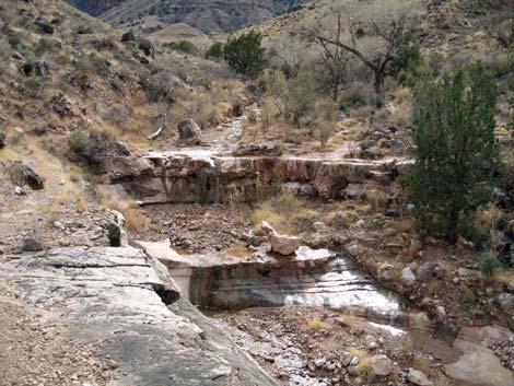 Cottonwood Trail