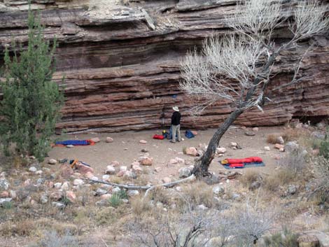 Cottonwood Trail