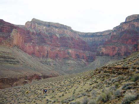 tonto west trail