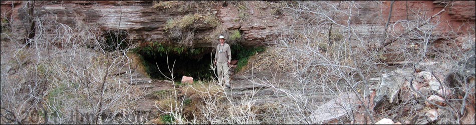 Page Spring Spur Trail