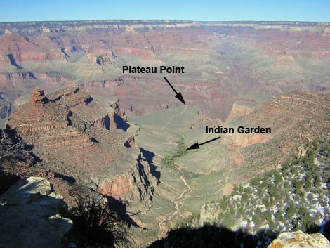 Plateau Point Trail