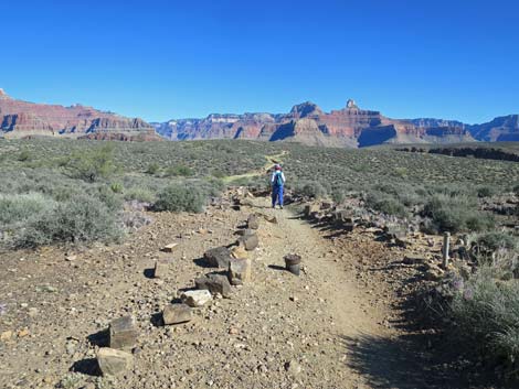 Plateau Point Trail