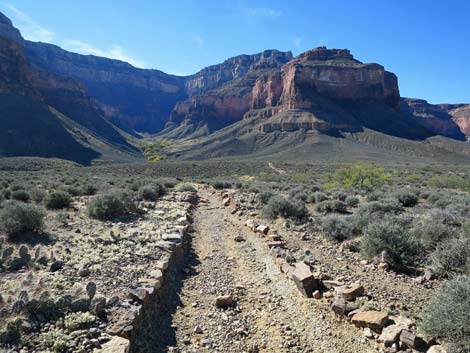 Plateau Point Trail