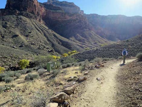 Plateau Point Trail