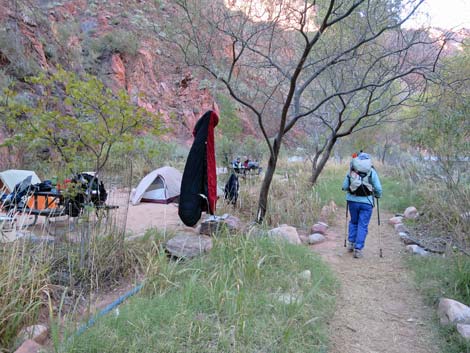 Bright Angel Trail