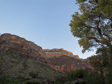 Indian Garden Campground