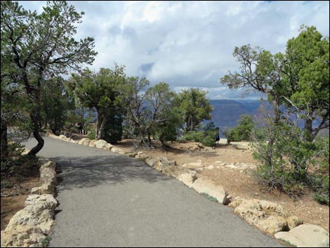 Rim Trail