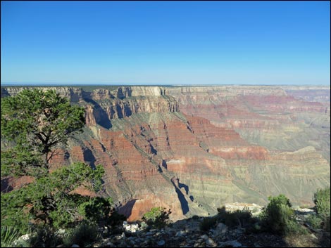 Rim Trail