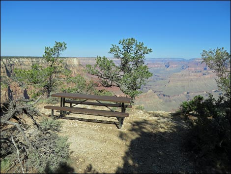 Rim Trail