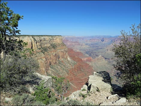 Rim Trail